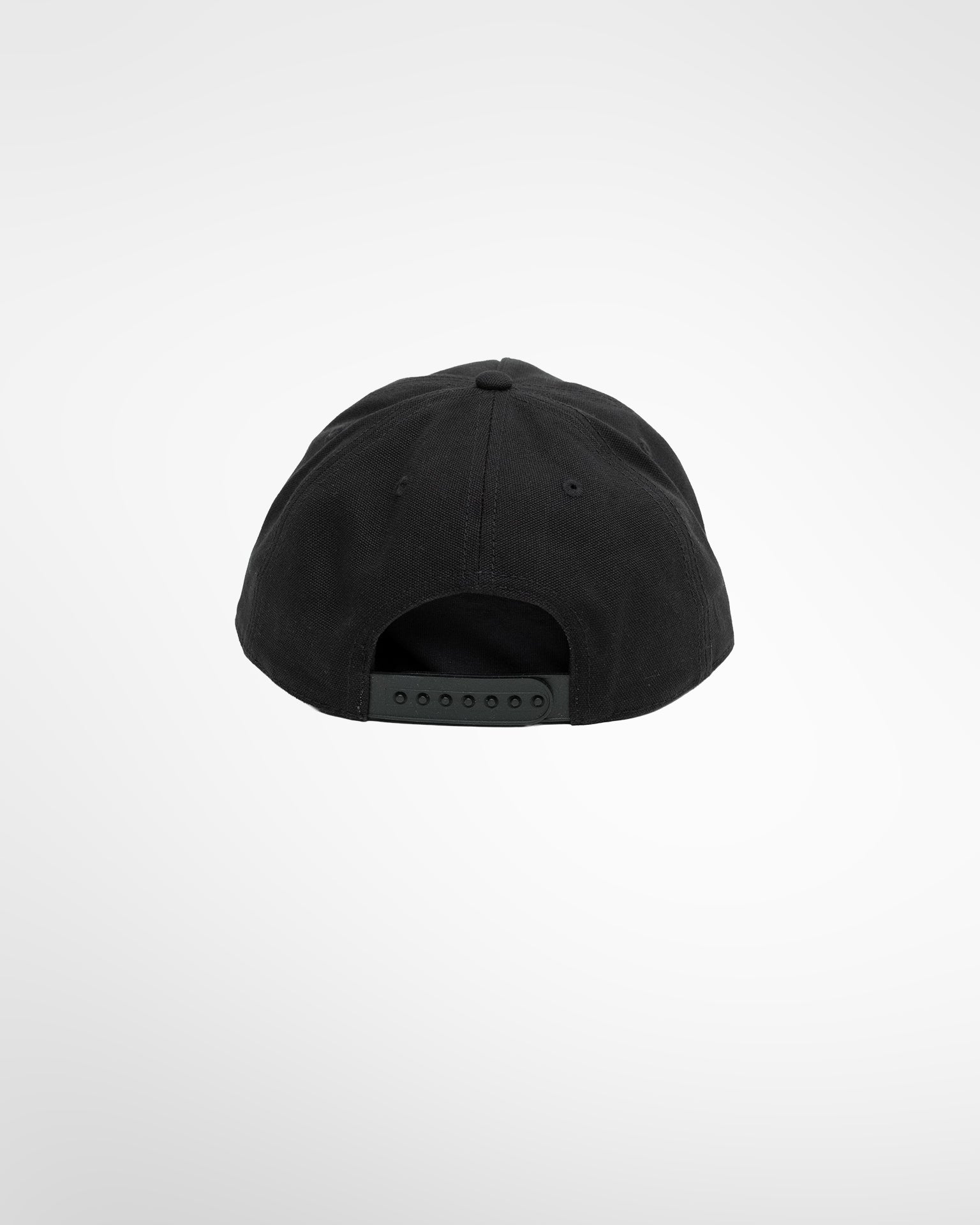 Plant Native Black Snapback